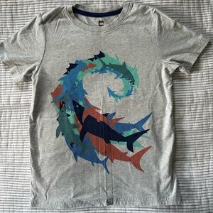 TEA Boys t-shirt size 10